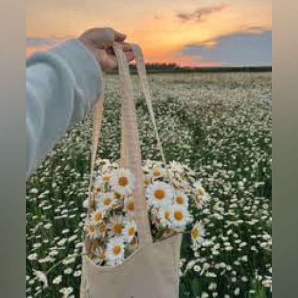 as dicuseed Handbags - ✨as discussed